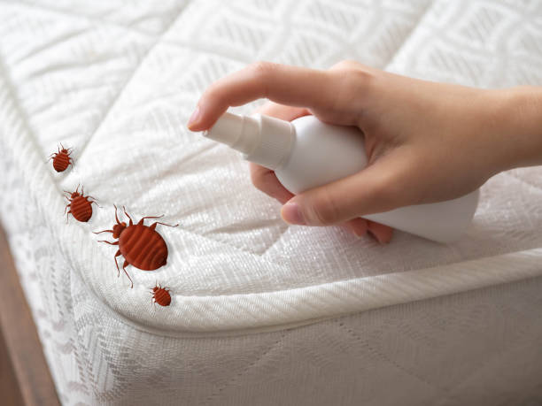 Best Pest Removal Services  in Tama, IA